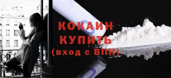 прущие грибы Кукмор