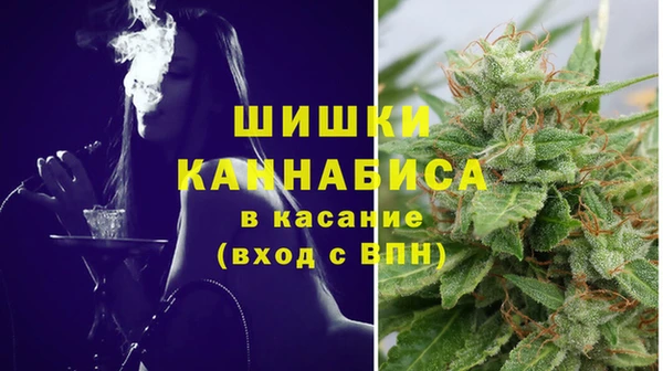 прущие грибы Кукмор