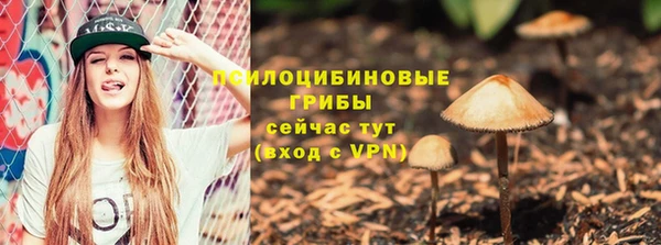 mdpv Долгопрудный