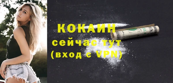 прущие грибы Кукмор