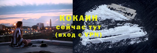 прущие грибы Кукмор