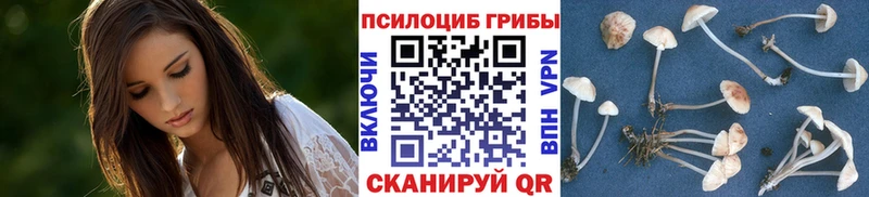 Галлюциногенные грибы Psilocybine cubensis  Тутаев 
