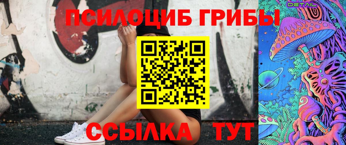 Псилоцибиновые грибы Psilocybe  Тутаев 